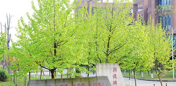 重庆机电职业技术大学2020年报名条件、招生要求、招生对象