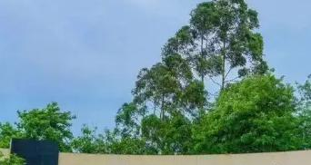 重庆文理学院学校代码是10642(学校代码)