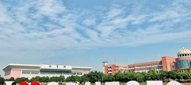 电子科技大学成都学院是211还是985(电子科技大学成都学院)