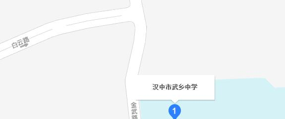 汉中武乡中学地址在哪里