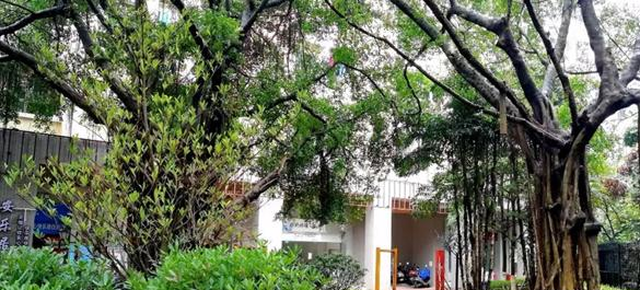 中山火炬职业技术学院2020年学费、收费多少