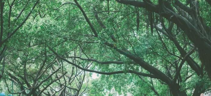 图片_20191227140132