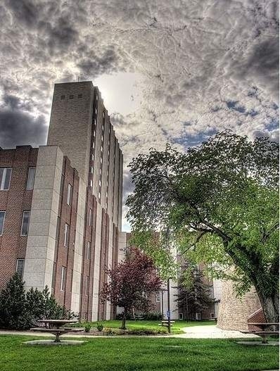 阿尔伯塔大学