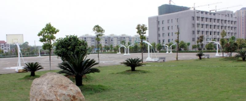 截图20200330103852