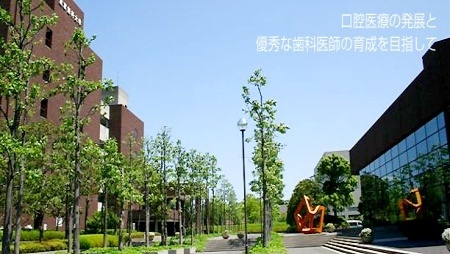 东京牙科大学