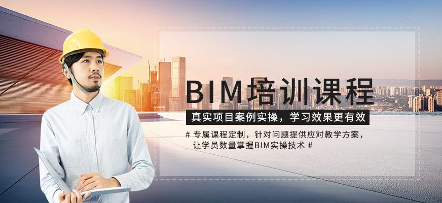 BIM