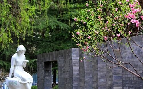 北京市朝阳区北外同文外国语学校