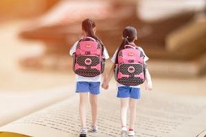 山东师范大学3+2留学