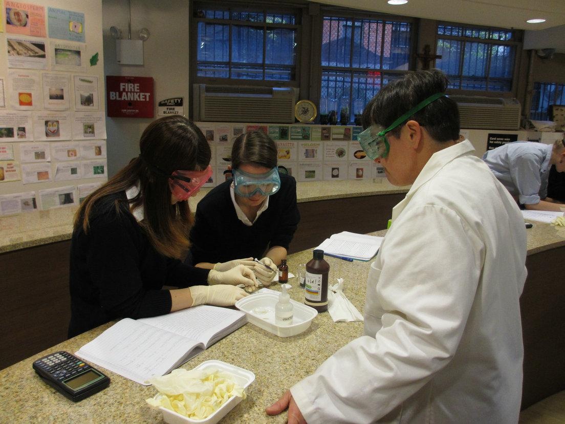 学校官方图片