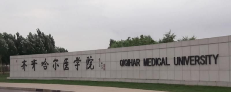 2023齐齐哈尔医学院国内排名第几(全国第399名）