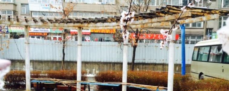 长春第八中学2023年网站