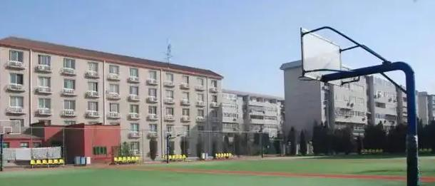北京私立树人瑞贝学校小学部2023年学费标准