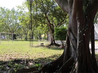 雷纳森英豪国际学院