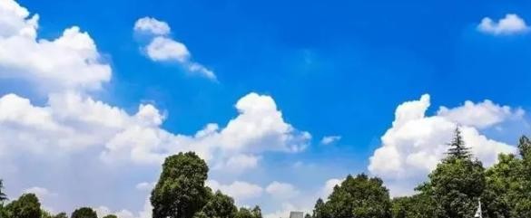 西南政法大学有哪些中外合作办学专业?(附名单)