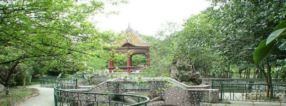 绵阳职业技术学院2020年招生办