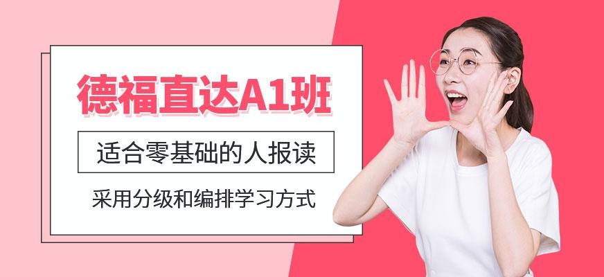 广州德福直达 A1培训