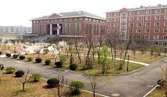 沈阳远见国际学校