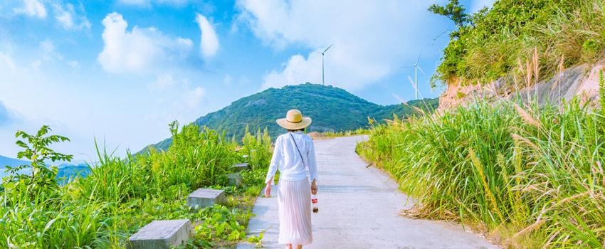 追寻生命的步伐