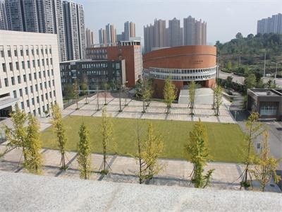 学校银杏广场