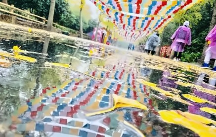 铭远双语高级中学全体学生上海欢乐谷秋游活动回顾