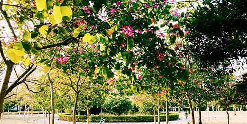 广州城建职业学院怎么样、好不好