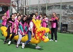 活动相册