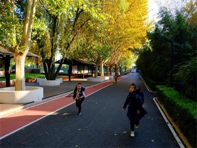 树人·瑞贝学校照片33