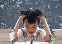 家庭教育是一个智慧的系统