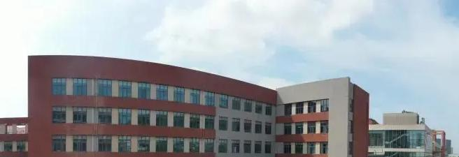 成都孔裔国际公学小学部2023年录取分数线2