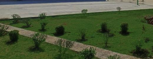 广西理工职业技术学校