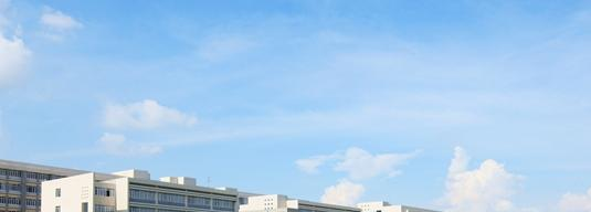 广西交通职业技术学院网站