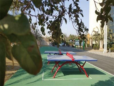 和风日本国际高中