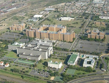 斯坦陵布什大学
