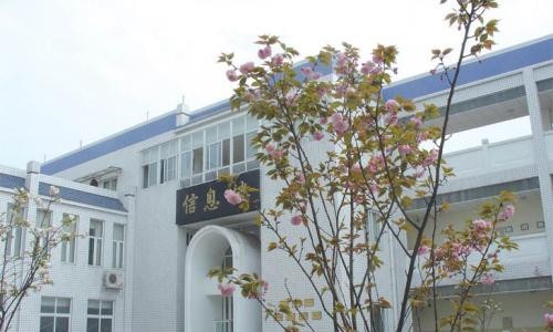 四川交通职业技术学院网站