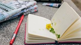进阶学习