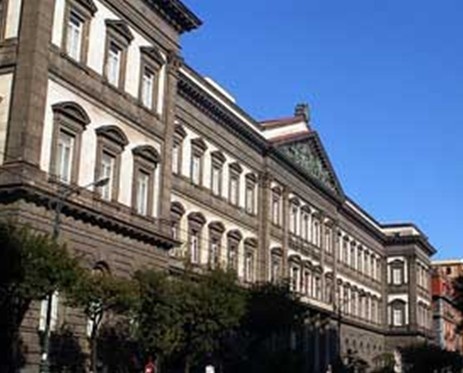 那不勒斯第二大学