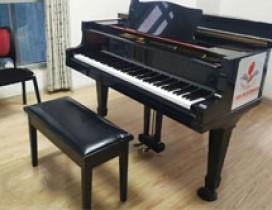 合肥小蝌蚪艺术中心