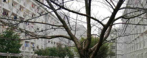 江西工程职业学院2020年宿舍条件