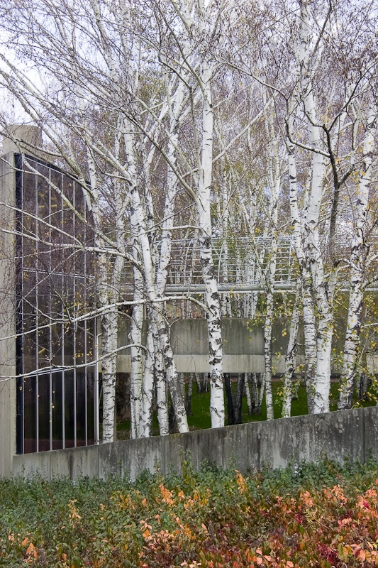 普林斯顿高等研究院