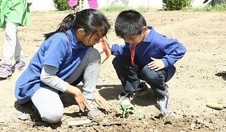 北京市朝阳区启明星学校