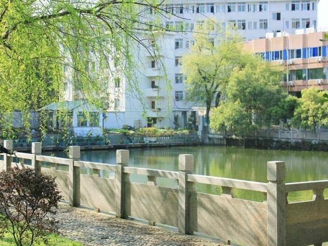 校园景色
