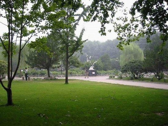 西北工业大学校园一角
