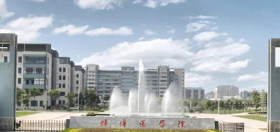 蚌埠医学院是211还是985(蚌埠医学院)