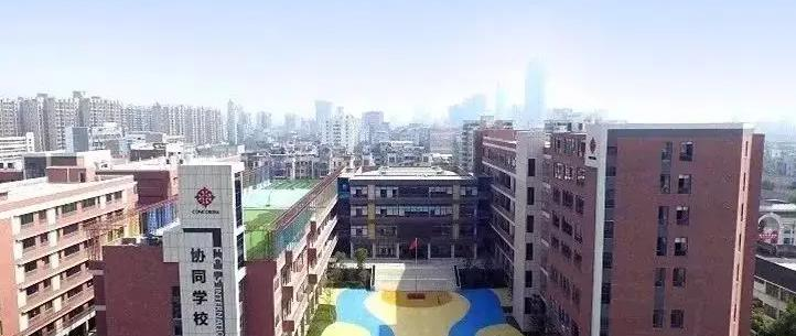 佛山协同国际学校小学部2023年招生政策2