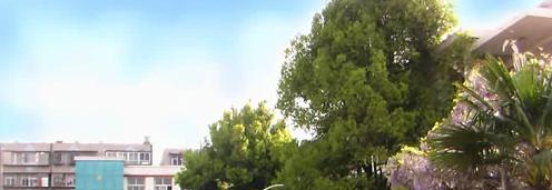 截图_20211116125444