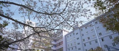 湖北艺术职业学院8