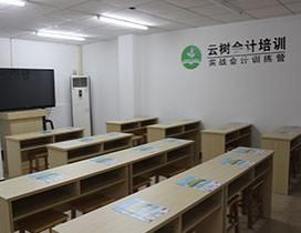 东莞云树会计培训