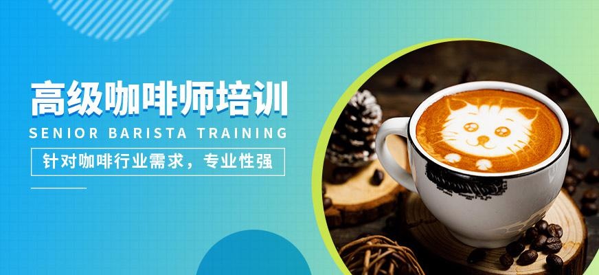 高级咖啡师培训