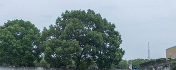 江西司法警官职业学院地址在哪里