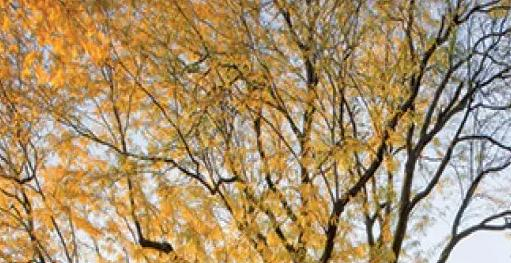 美国巴斯图高中2023年学费标准2